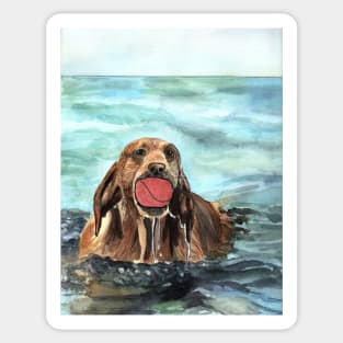 Dog with Ball in the Water Watercolor Art Sticker